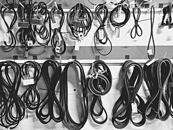 What’s the Difference Between a Timing Belt and a Serpentine Belt? | Strande’s Garage